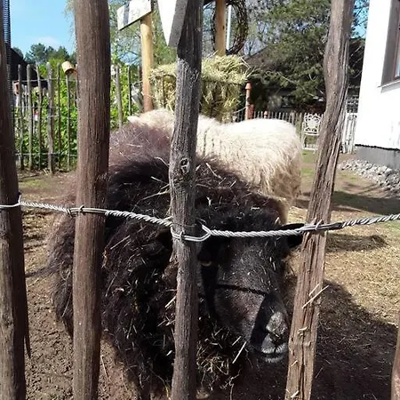 Mit Minibauernhof Ferienhaus