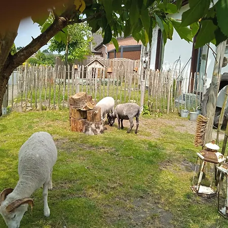 Mit Minibauernhof Ferienhaus